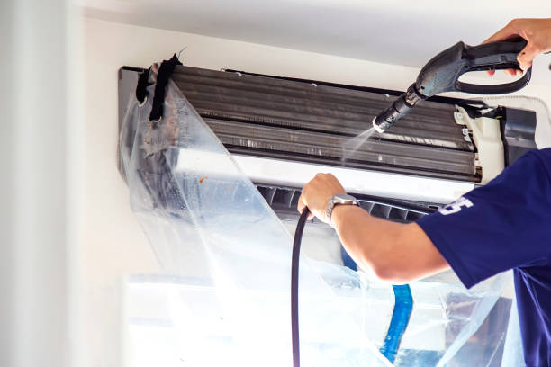 Best Mold and Mildew Removal from Ducts in Gallipolis, OH